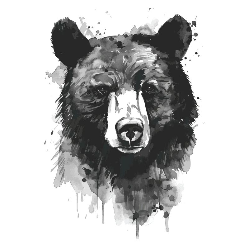 Black bear