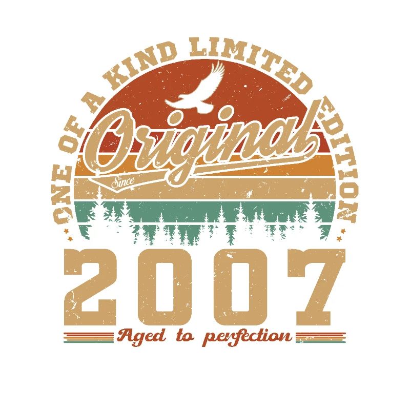 2007 6