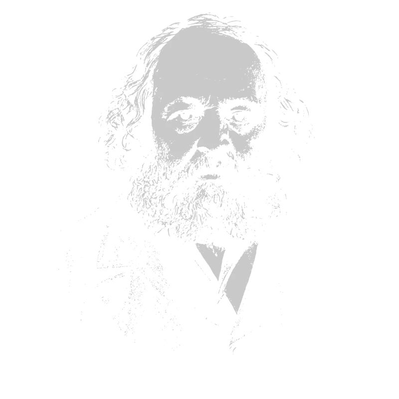 Bakunin Portrait Bold Typography
