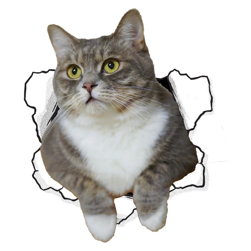 Chat mignon qui sort du trou - Dessin drôle de chat