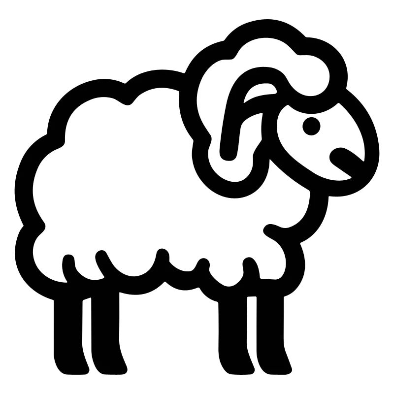 sheep