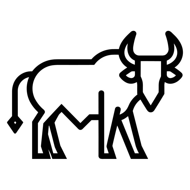 Stier