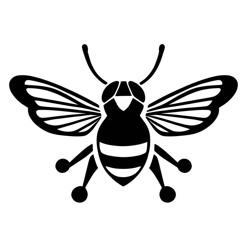 Cicada