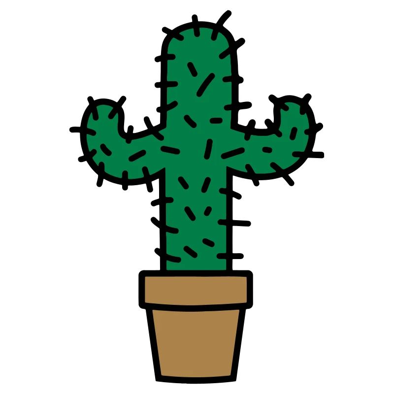 Idée cadeau cactus cactus idée cadeau