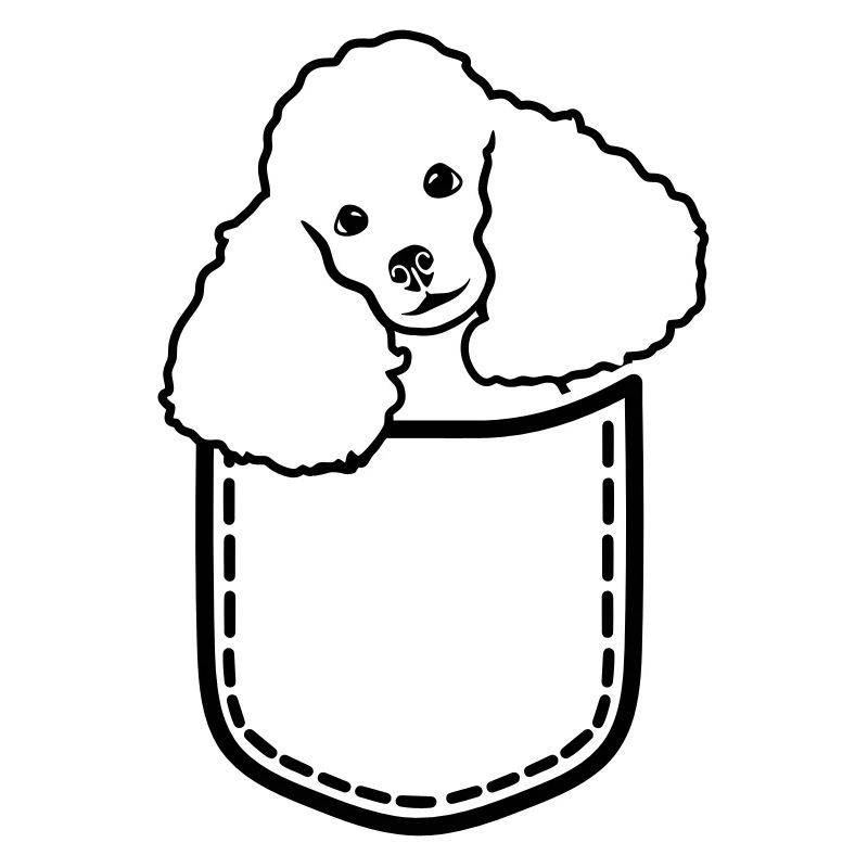 Poodle
