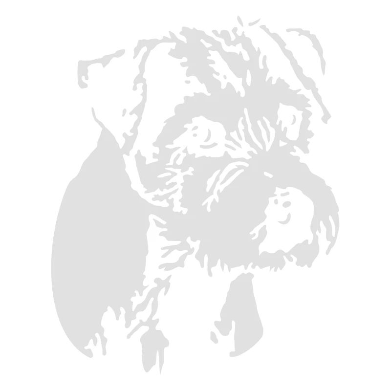 Parson Jack Russel Terrier
