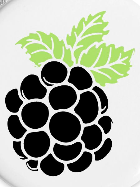 blackberry