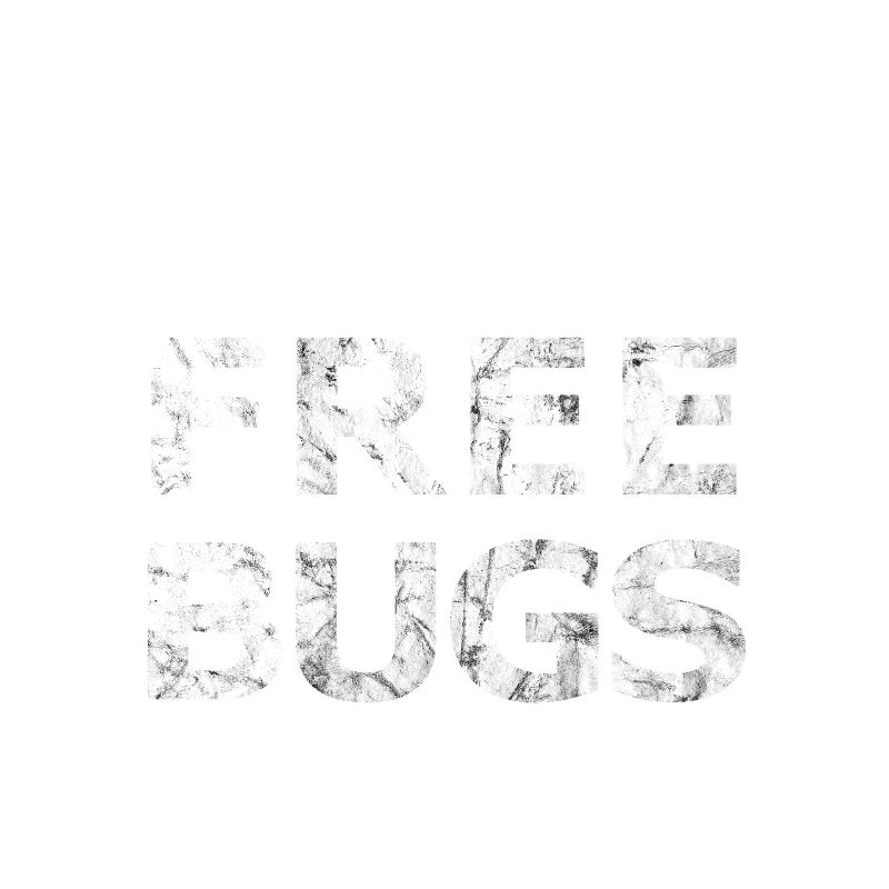 Free Bugs2 - Programmeur informaticien