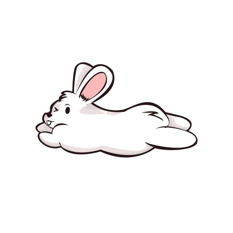 Cadeau BD de lapin lapin lapin blanc