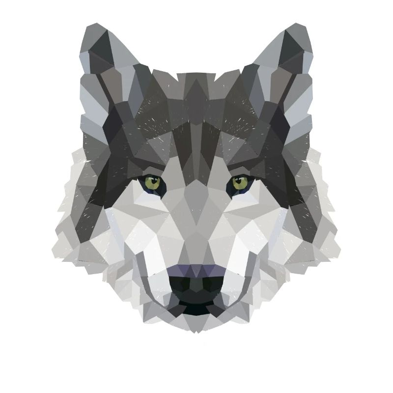 POLYGONE LOUPS LOUPS HUSKY PACK PACK CHIEN PACK PACK