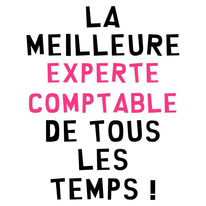 Expert Comptable / Comptabilité / Comptable /