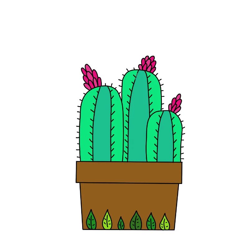 Flowering Cacti In Leafy Pot