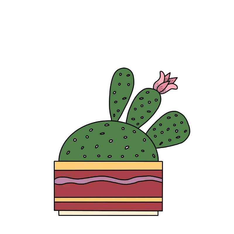 Cactus avec belle fleur