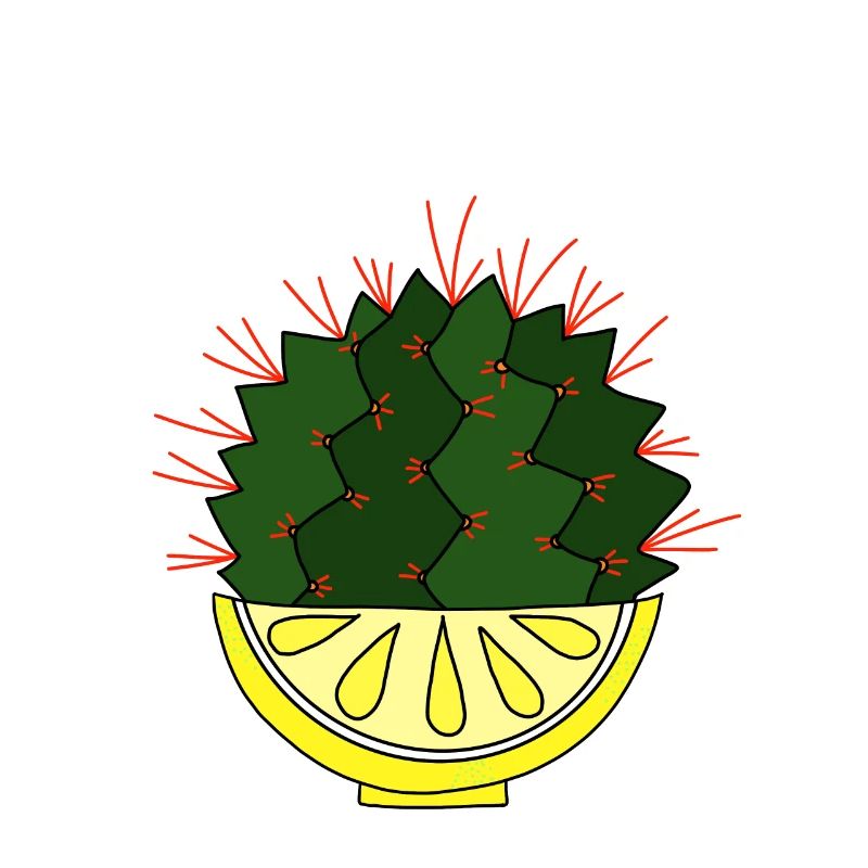 Le cactus au citron