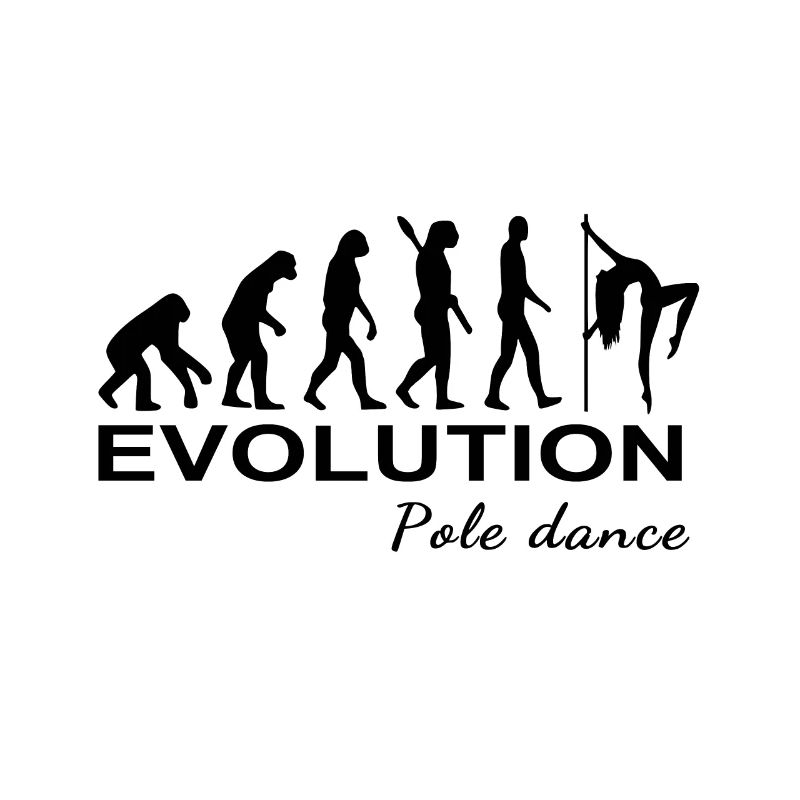 Pole dance Evolution