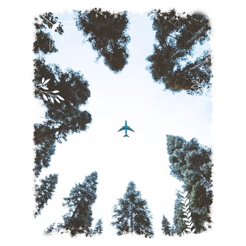 Plane