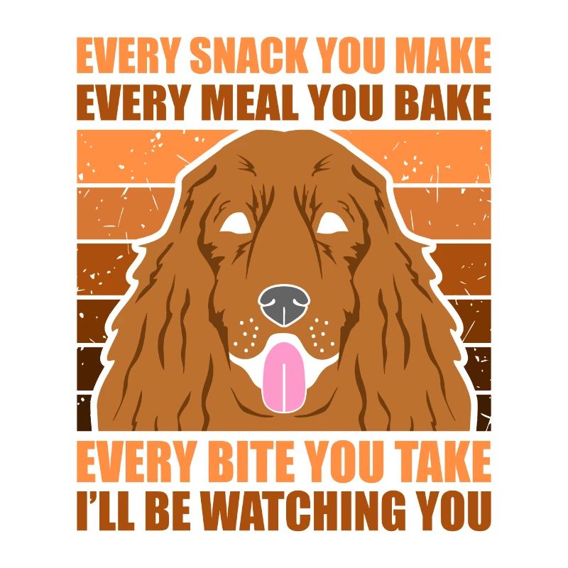 Cocker spaniel