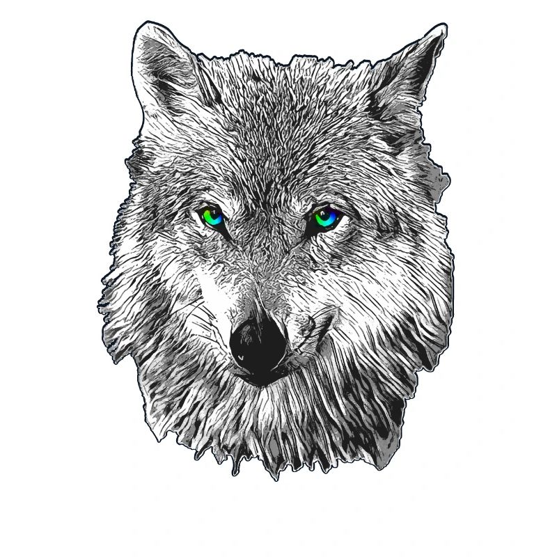 Wolf