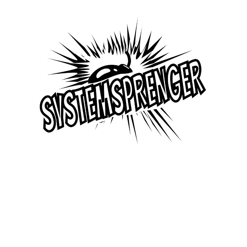 System-Sprenger Systemsprenger