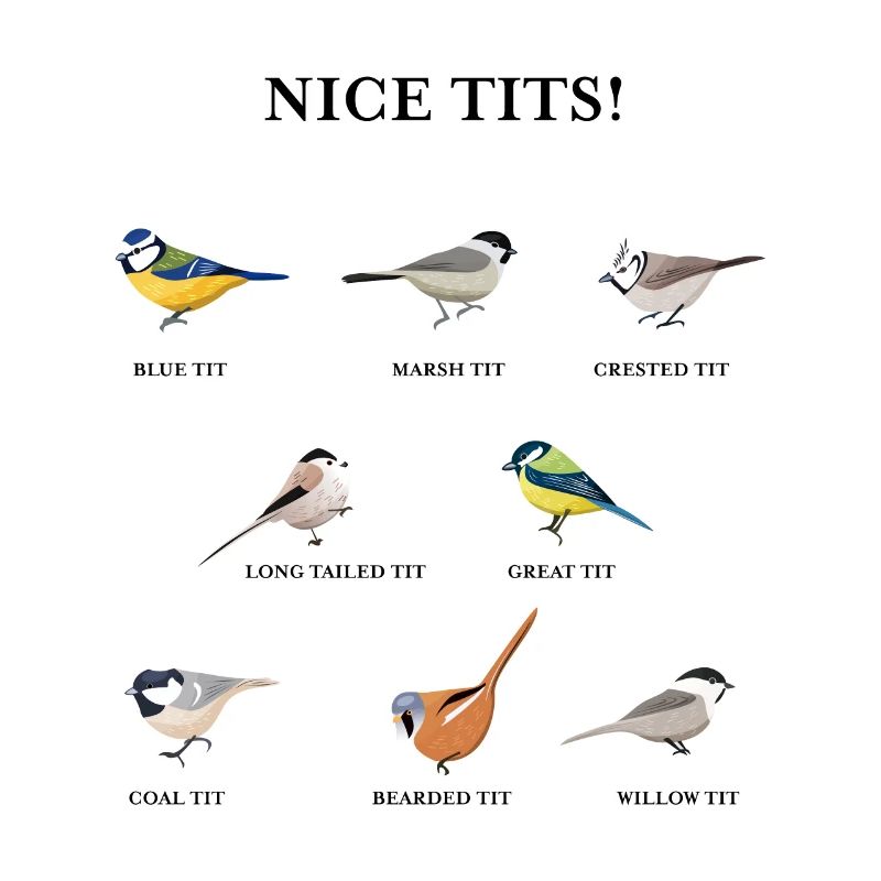 Nice tits! Funny Birdwatching Bird Gift