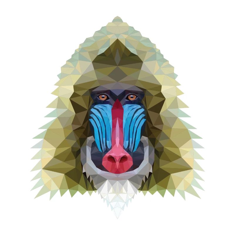 Affe polygon design Geschenk