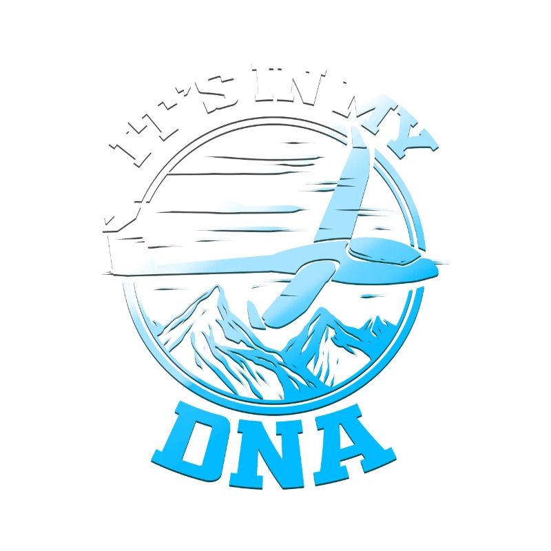 Gliding pilot glider glider pilot