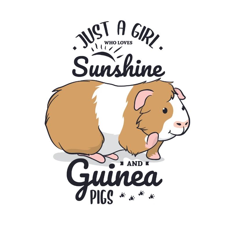 Cochon d'Inde soleil et cochons d'Inde