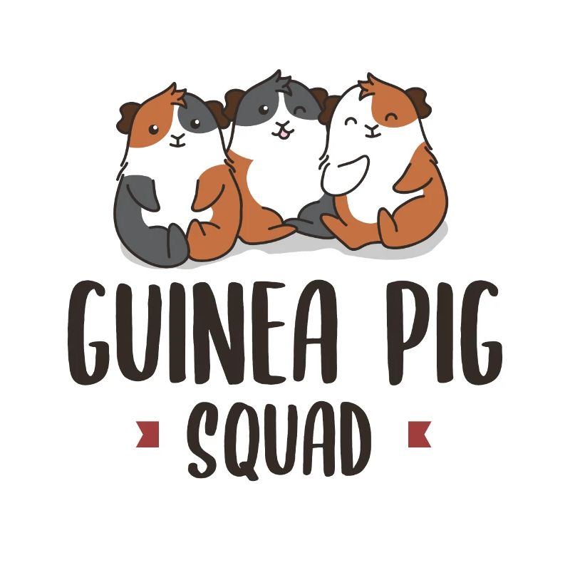 Équipe de cochons d'Inde Ironic Team Rodent