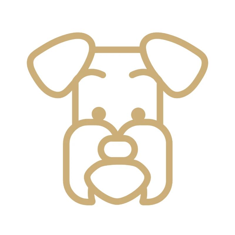 Schnauzer race de chien Polygone visage