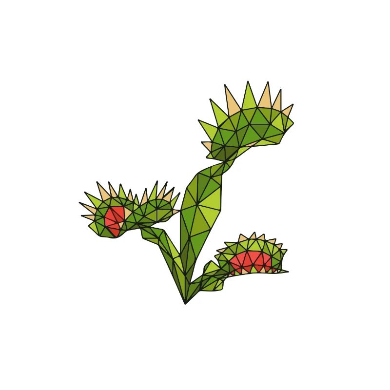 Carnivorous Plants Venus Flytrap