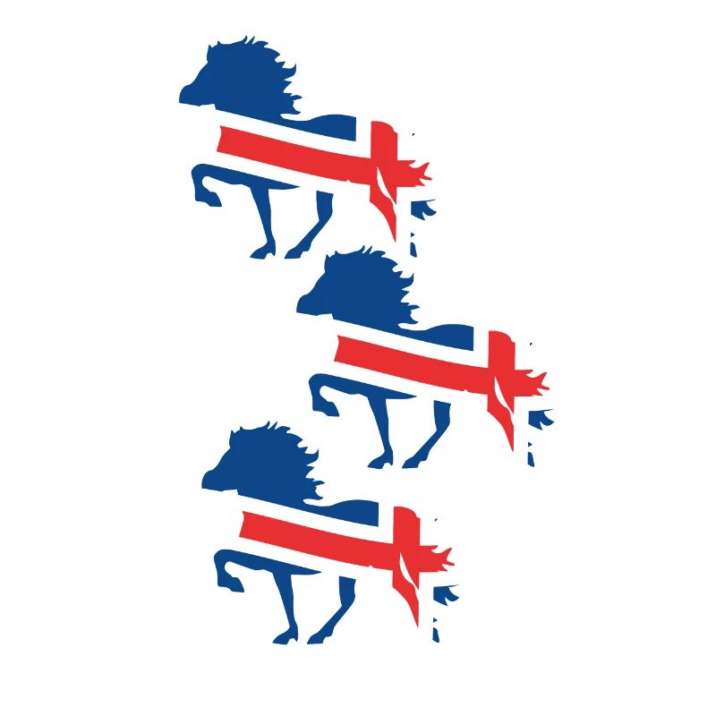 Drapeau du cheval islandais