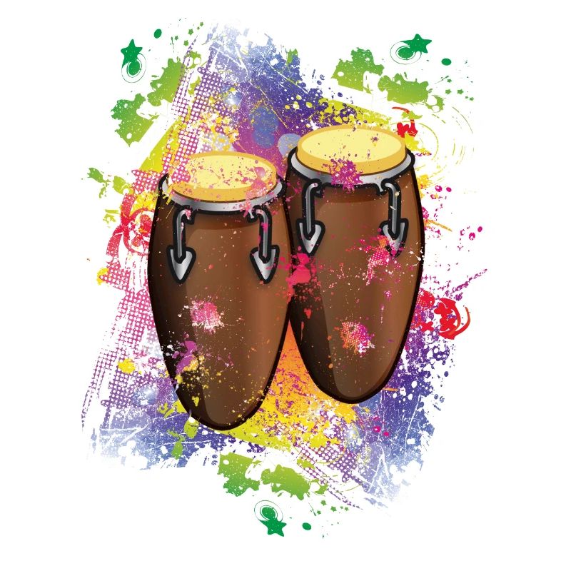 Salsa Conga music instruments