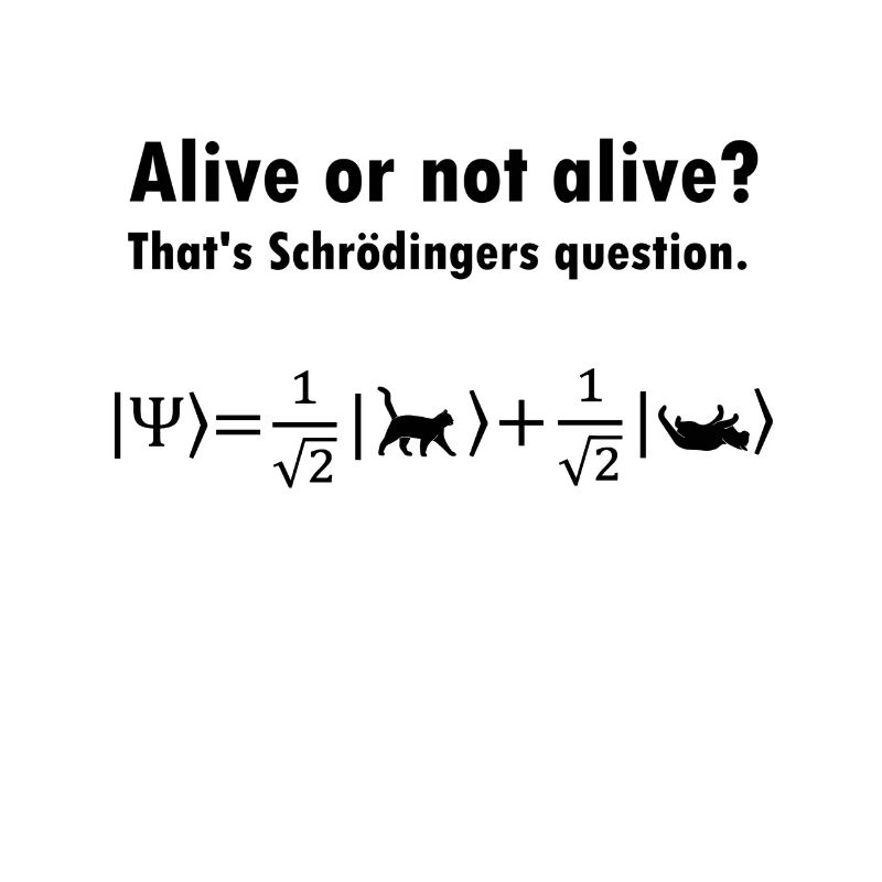 Chat De Schrödinger - physicien cadeau de physique nerd