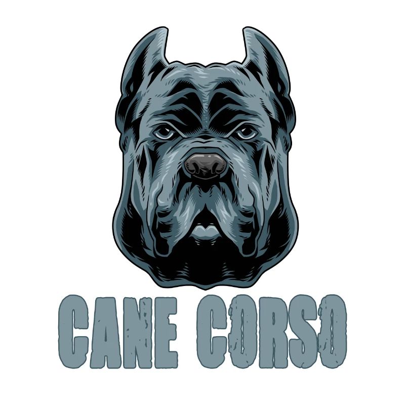 Cane Corso for a Cane Corso owner Cane
