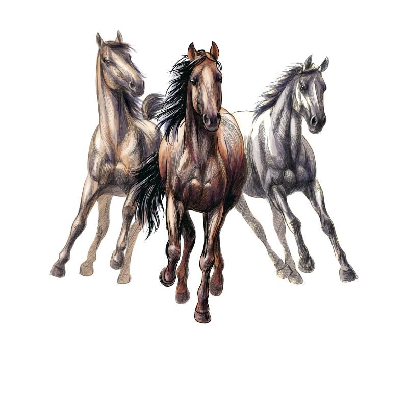 galloping horses
