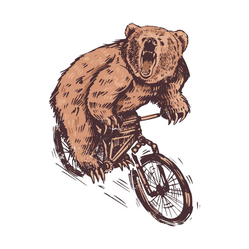 OURS CYCLISTE