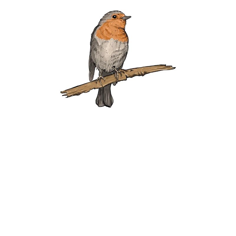 Robin I bird hunter forest motif for