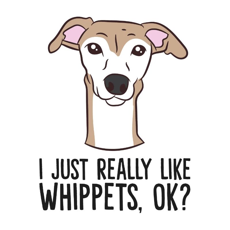 J’aime vraiment les Whippets