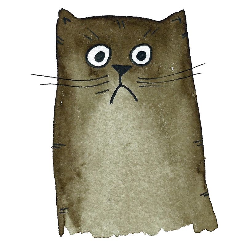 Chat brun