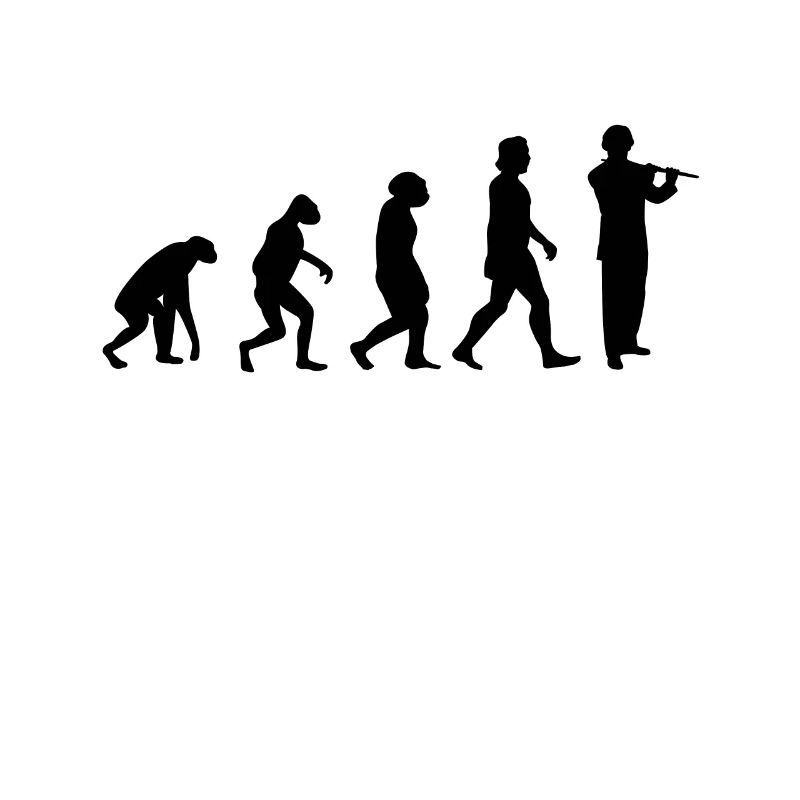 Flötist Evolution Querflöte Flöte