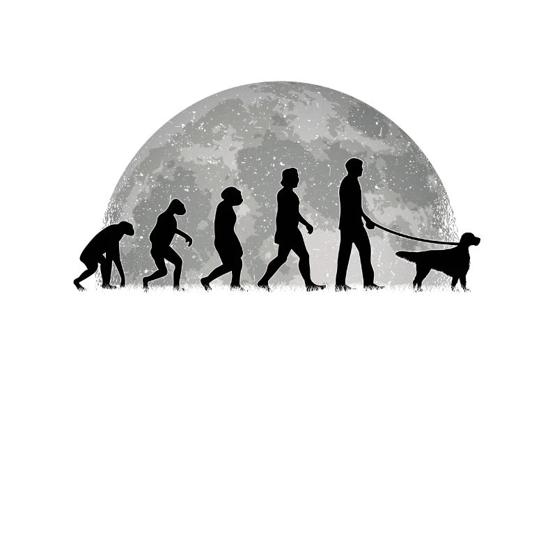 Setter anglais Evolution Moon Setter anglais