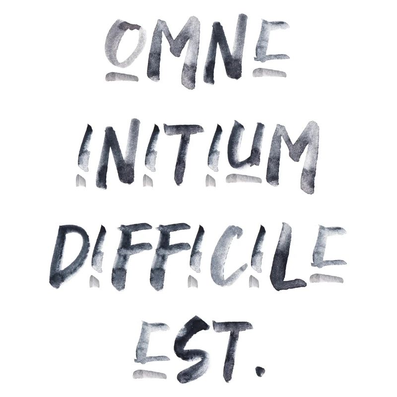 all beginning is difficult Latin quotation scripture