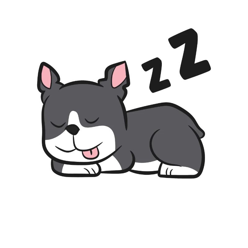 Lustiger Boston Terrier Schlafender Boston Terrier