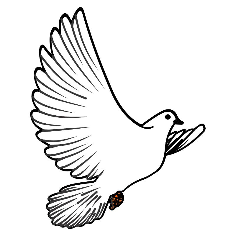 Weiße Taubenbrieftaube Ziertaube oder Friedenstaube