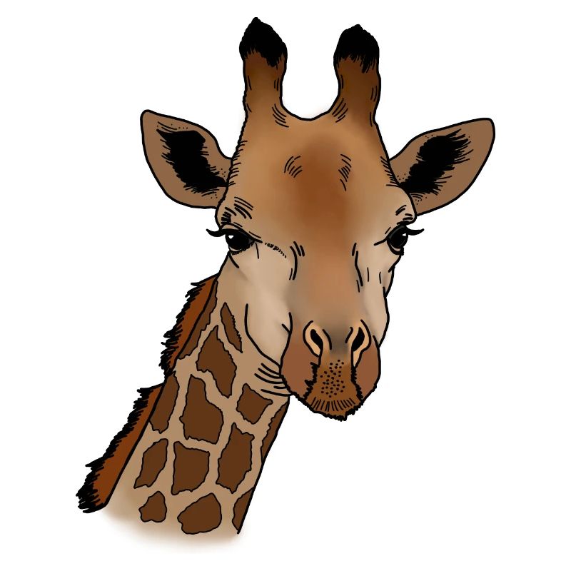 Giraffe Kopf