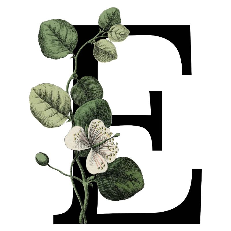 lettre e botanique vert