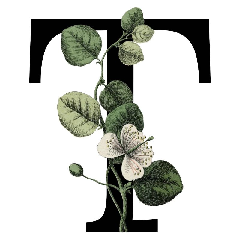 Green Botanical Letter T