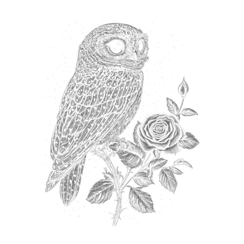 Eule Vogel Blumen Ästhetik Nachteule Rose Geschenk