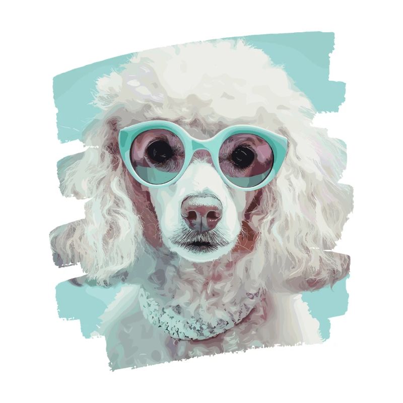 Poodle