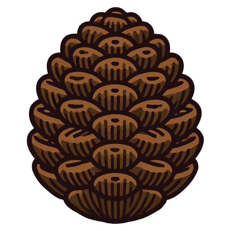Pine cone